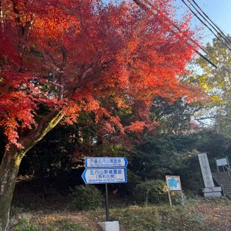 市道五月山箕面線。
ここは実は有料道路🈶