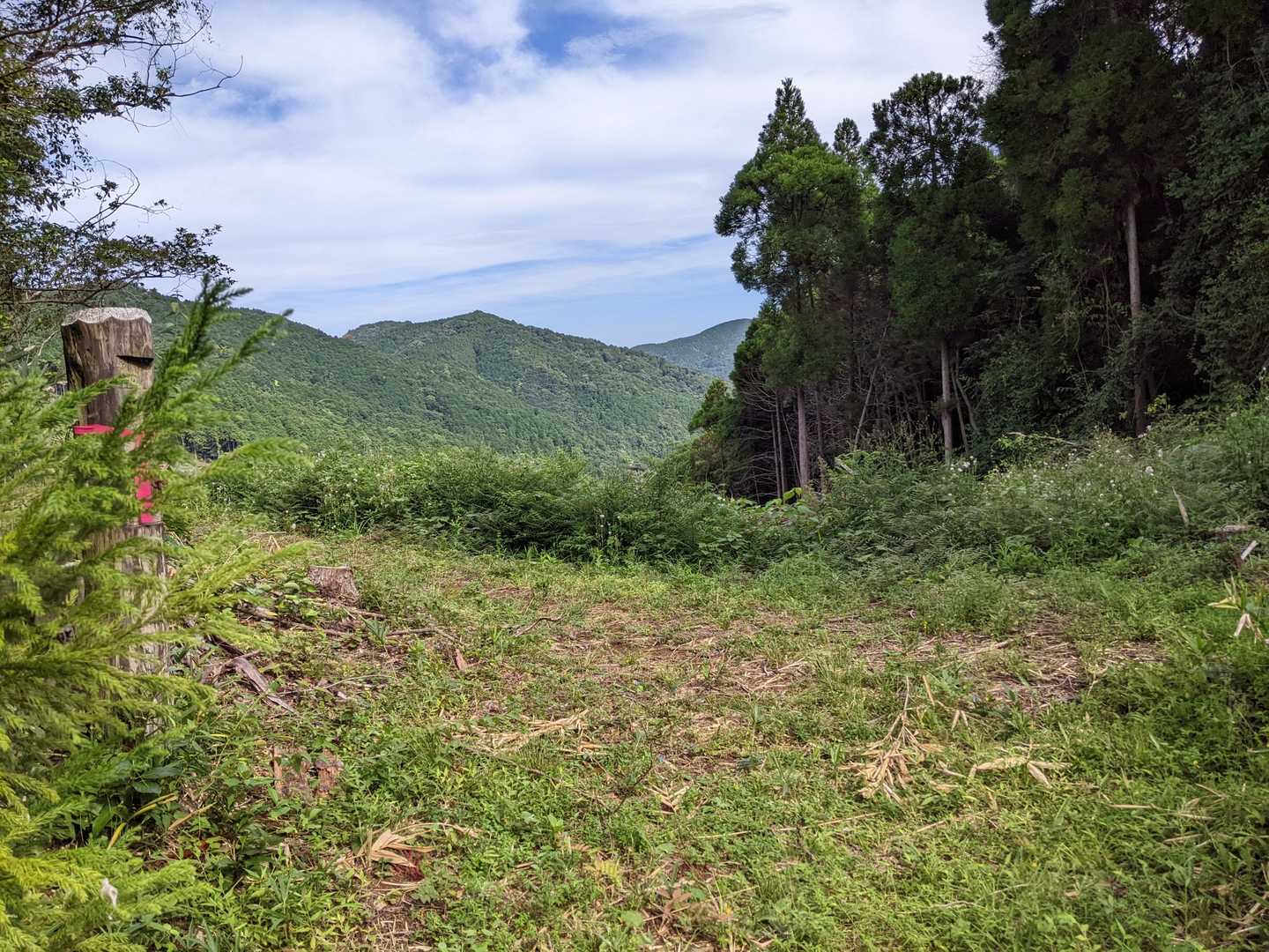 日岡山と蒲生山の分岐点です。右側に行って、日岡山に向かいます🚶