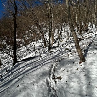 雪が深くなってきた
