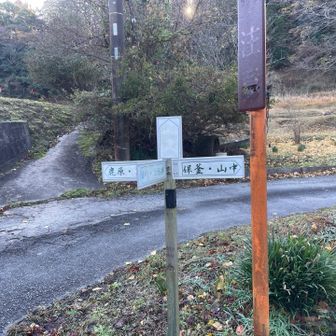 梨沢ケルベロスの首ですな