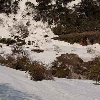 小屋跡地
いまは更地になってます