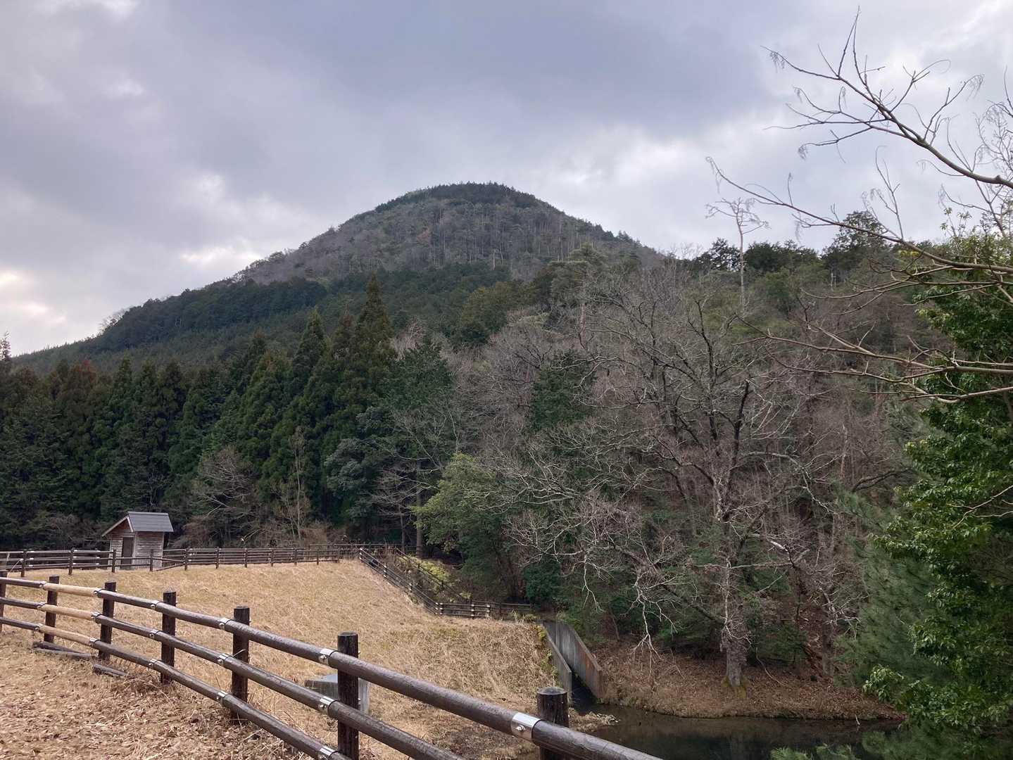 あれですね
猪の鼻ヶ岳