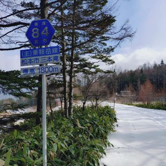 こっちからだった😅