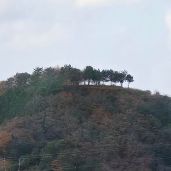 さっき迄居た安田要害山。(何か和久羅山みたい)
もう、先ほどの人達下山されたようだ。