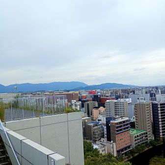 アクロス山山頂より