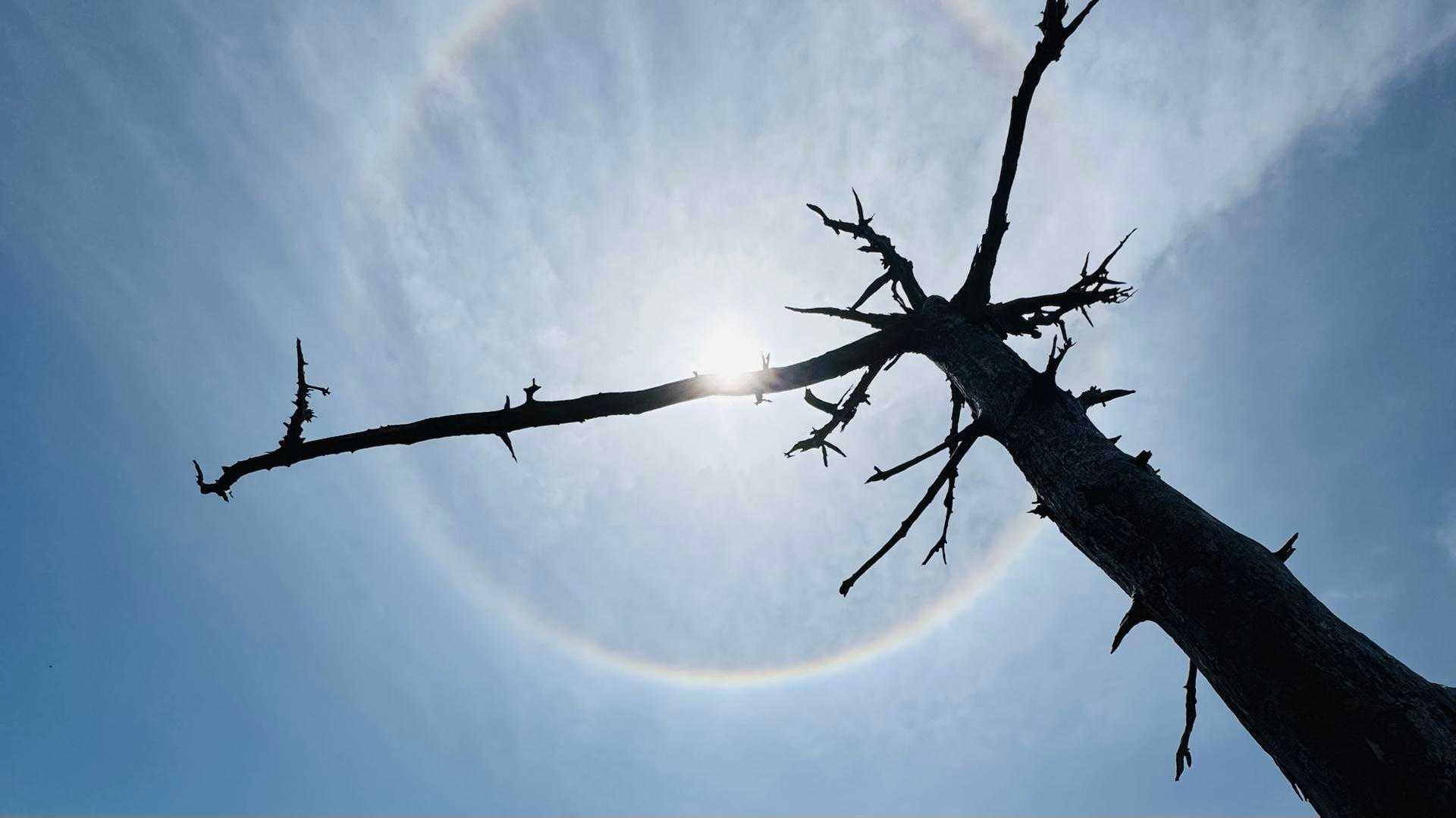 
なんとも神々しいハロ現象。
