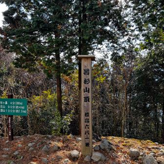 若杉山　山頂　とうちゃーく(´∀｀)