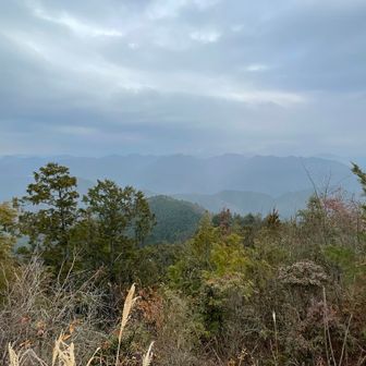 曇っててあまり遠くがよく見えず