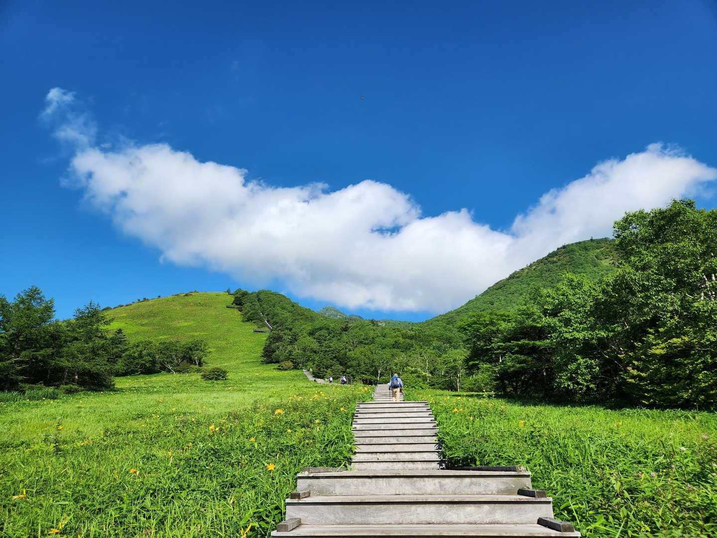 小丸山 往復コースの写真