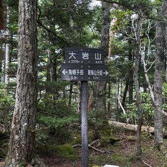 ついたー！！

汗だく🥵