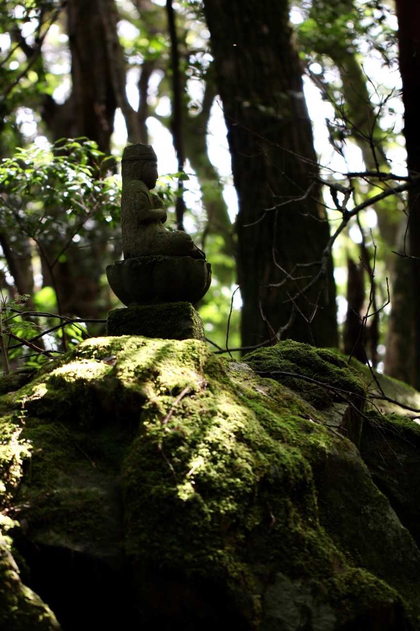 鳥屋山-奥の院 往復コースの写真