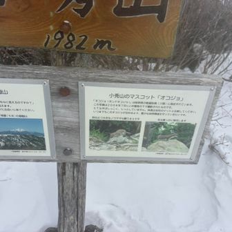 20年前の写真なのであれですが、オコジョ居るんですね〜