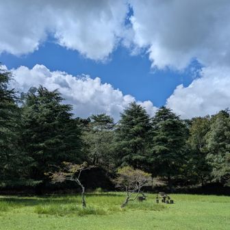 久しぶりのヤング広場🍁