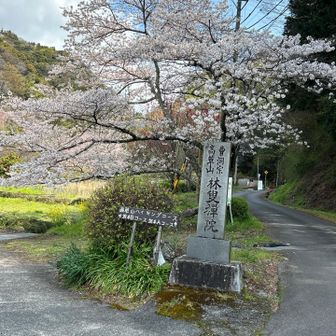 左右どちらもコースです
私は坂本Bコースから