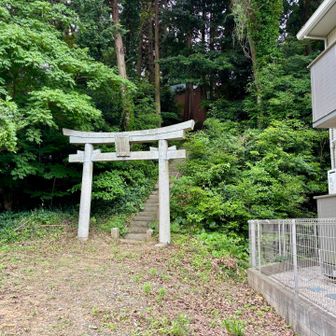 アパートの隣に鳥居
ここを登るとピークゲット
上には狛犬がいる立派な神社があった