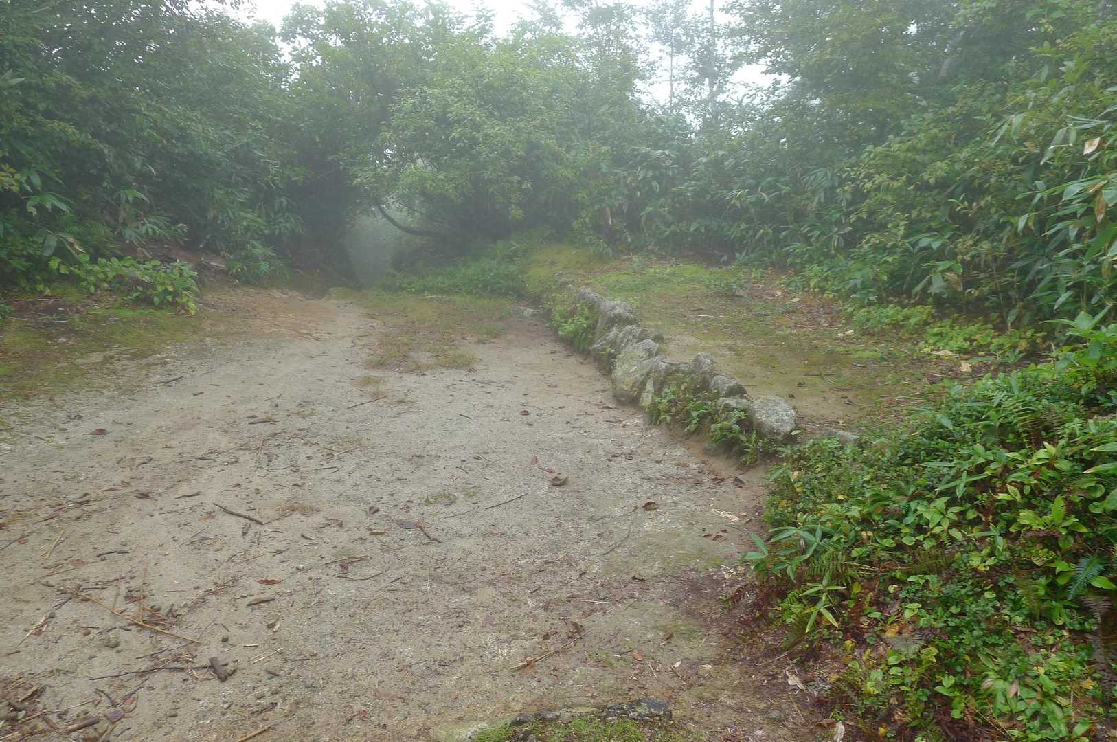 御沢登山口-横峰 縦走コースの写真