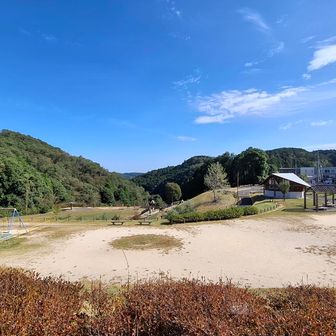 龍厓山公園の一番下に登山口が有ります！