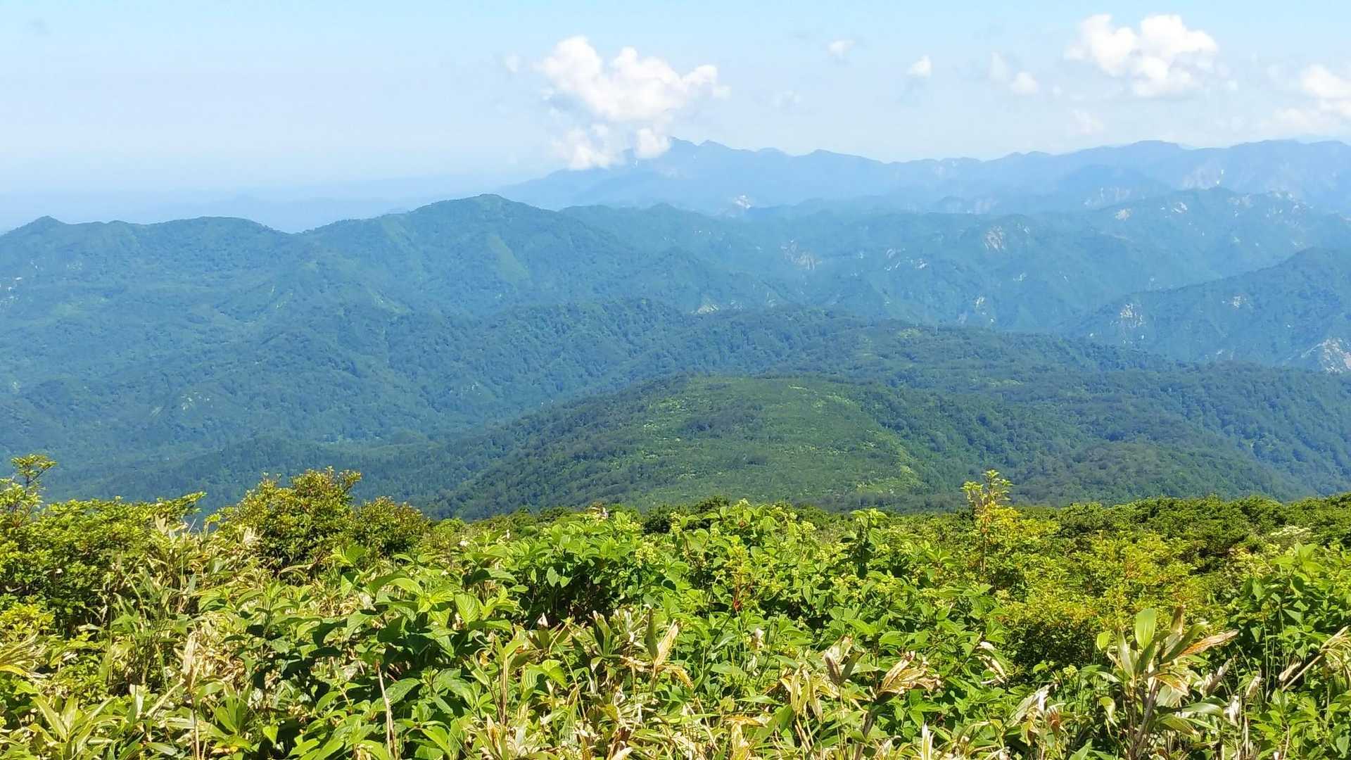 前方に霞む三山