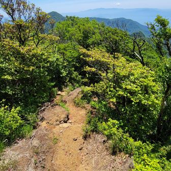 この先は初コースです