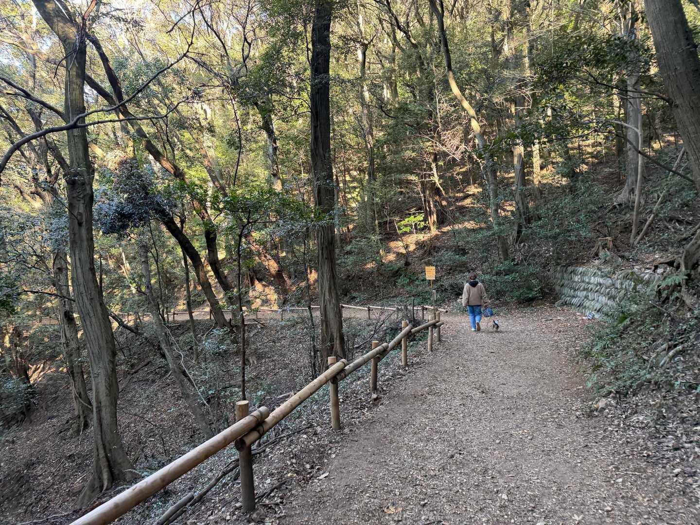 めい想の小径登山口-金華山-金華山ロープウェイ 山頂駅-七 周回コースの写真