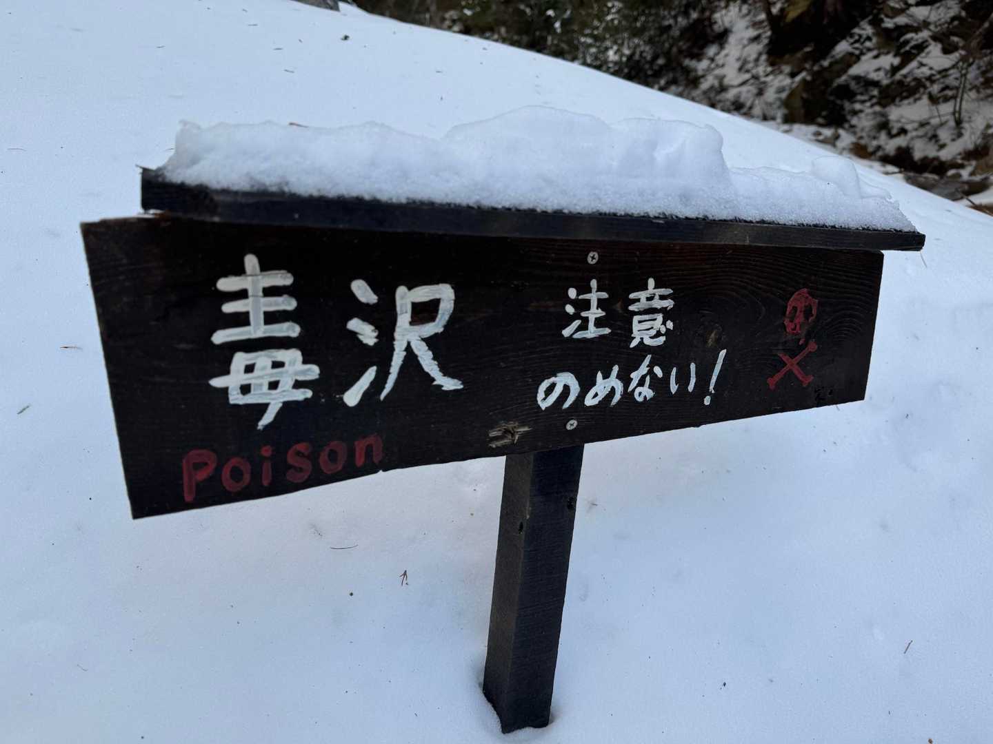 毒って😱どんなん