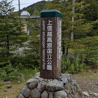 ありがとう楽しめました