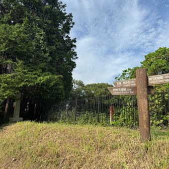 古墳の周りを歩きました