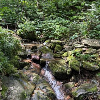 沢の水気持ち良き