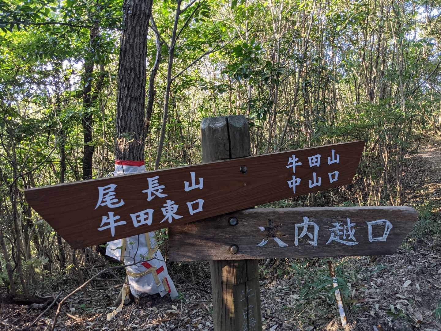 見立山-神田山-牛田山-尾長山-二葉山 縦走コースの写真