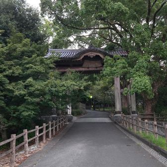 ちょっとだけ薄暗い