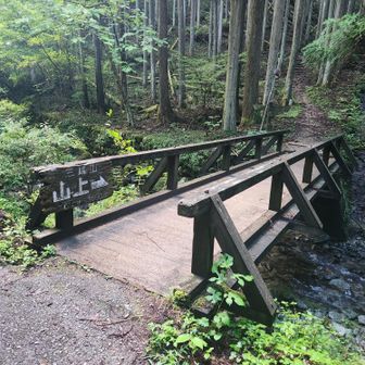 橋渡らず左に行くと不動の滝
橋を渡って頂上まで3600m