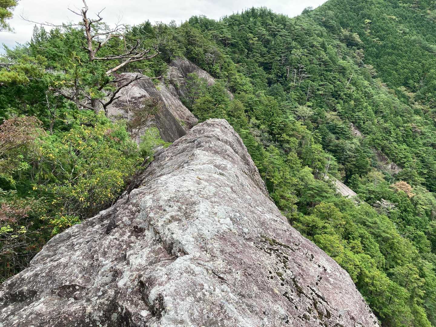 明神山 周回コースの写真