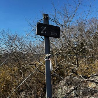 Z山到着🙌
眺望もないけど、来るのが大変過ぎて楽しい😂