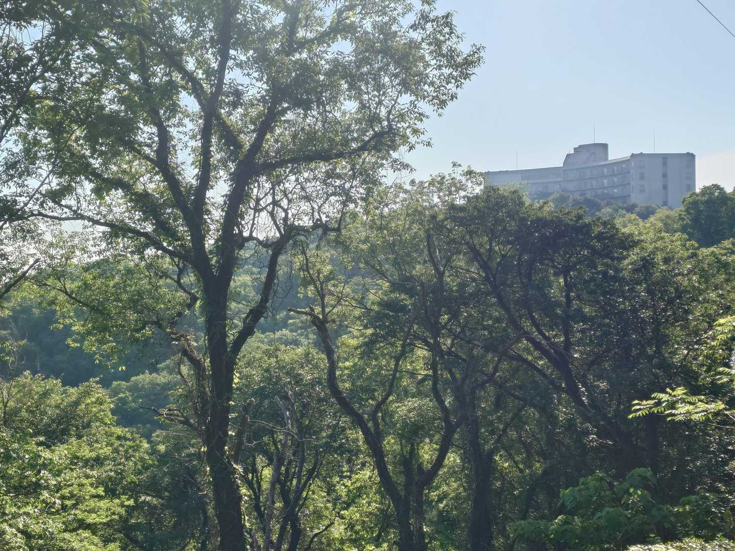 眉山 往復コースの写真