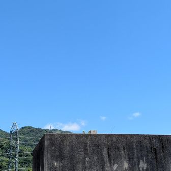 グレピ荒神山ゲット👍
墓の中のコンクリートの石柱の上に何やらポコっと〜三角点みたいなぁ～△