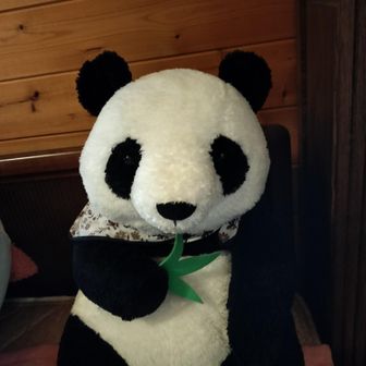 さわパンダ🌸🐼🌸
