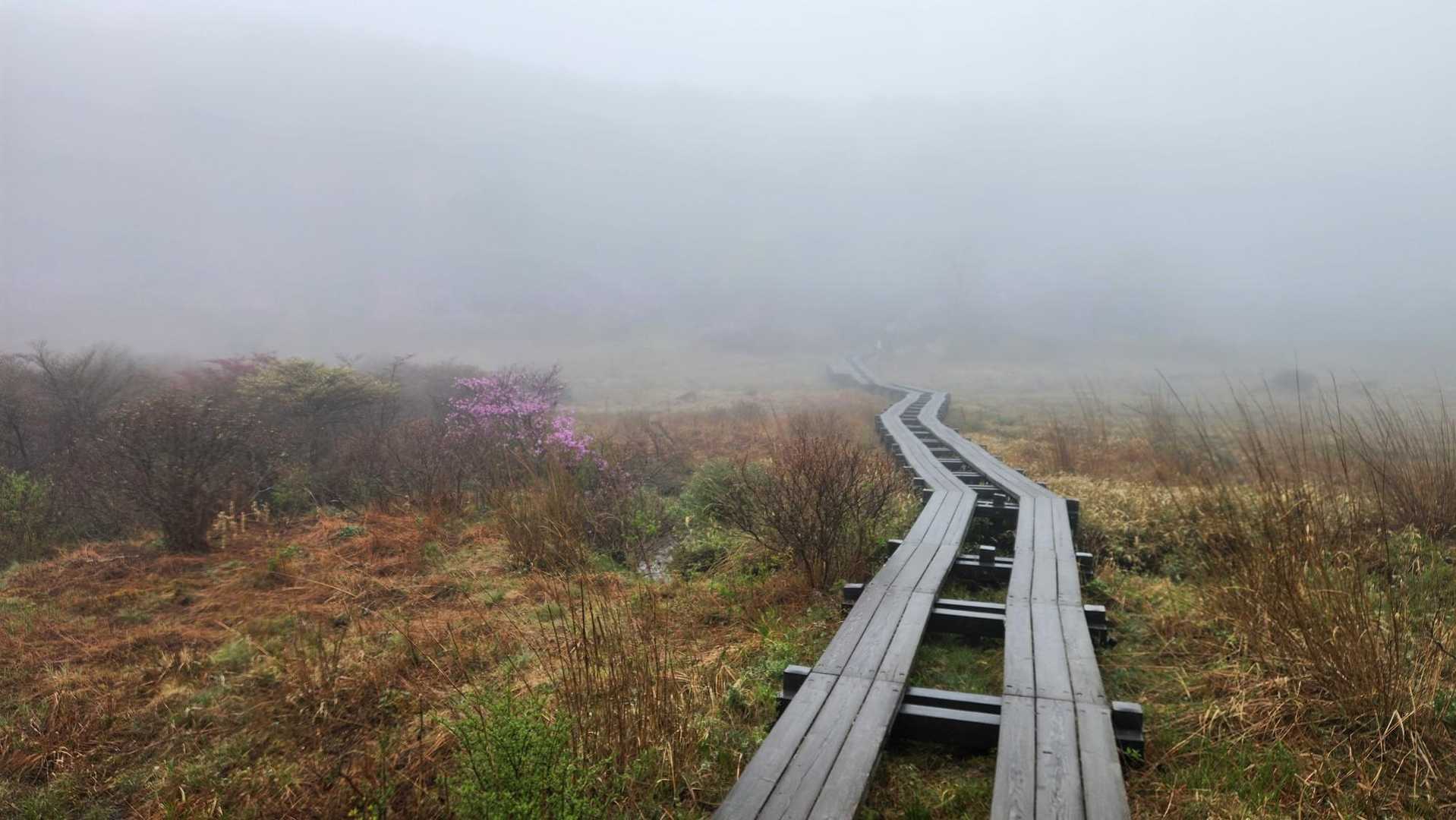 横根山登り口-横根山 周回コースの写真