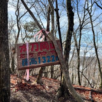 さっきのは南峰