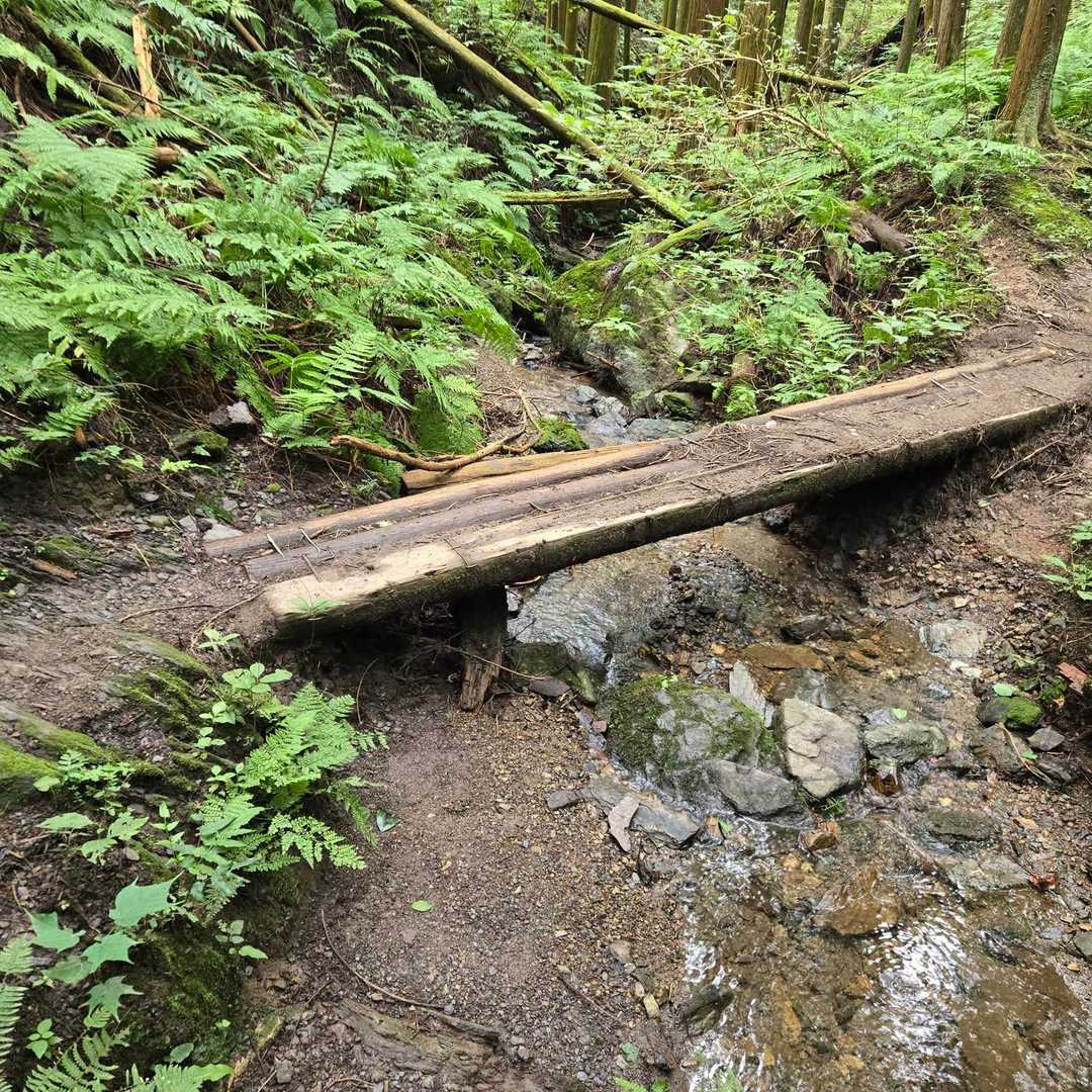 涼しい沢には癒される。マイナスイオン効果が出る