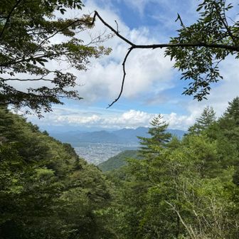 下山中
ちょっとひらけた👏