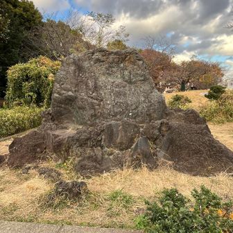 2座目 西郷山 36m