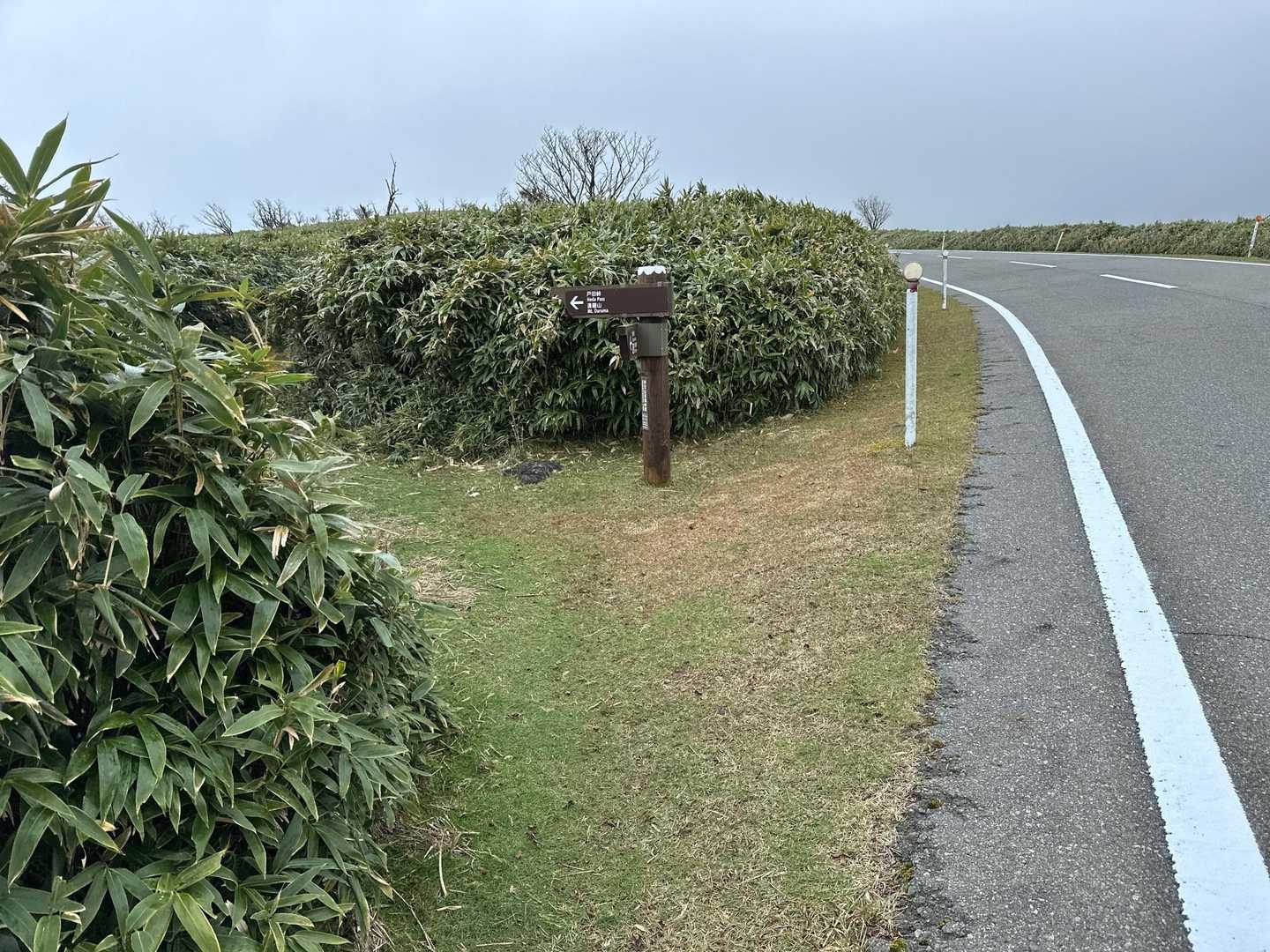 しばらく鋪道を歩いて登山道突入😅
