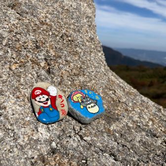 マリオとととろ居た🍄