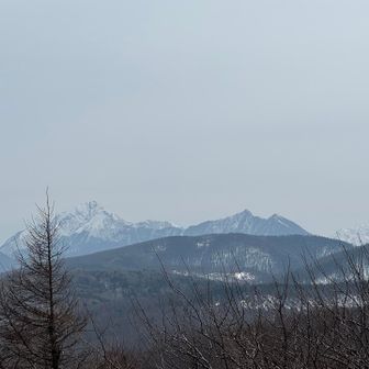 綺麗でカッコいい