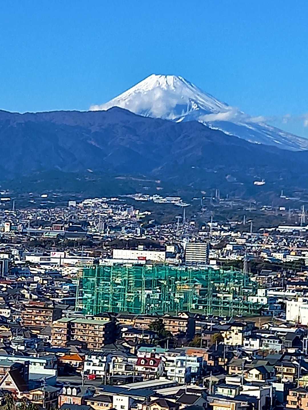 今日は人一倍キレイです