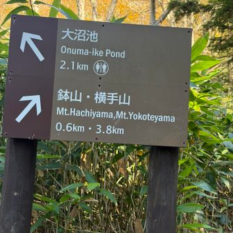 ここから鉢山に登ります