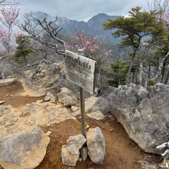 アカヤシオ🌸を見に袈裟丸山 / おたまの登山データ | YAMAP / ヤマップ
