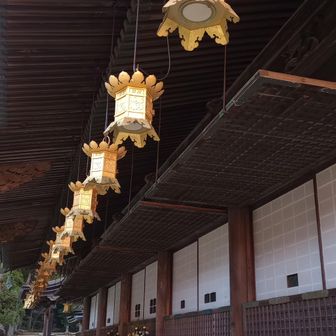 奥之院では灯篭の写真撮れないからここでパチリ。