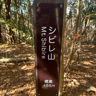 Mt.shibire 登頂‼️
ミスターシビレに見えます🤣
