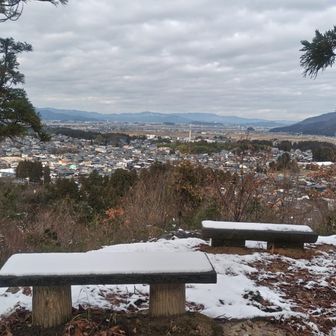 展望台からの景色。